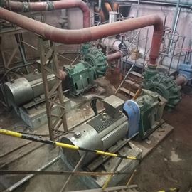 多行業(yè)可用濃漿泵(bèng)